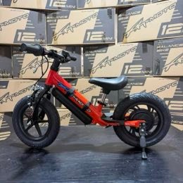 14" Strider Conversion 250W Direct Drive Motor