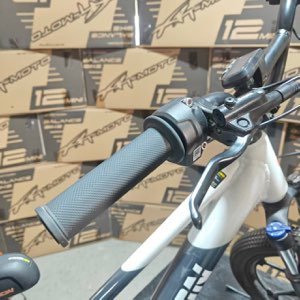 Throttle Orion 24-48V, 2024-Present